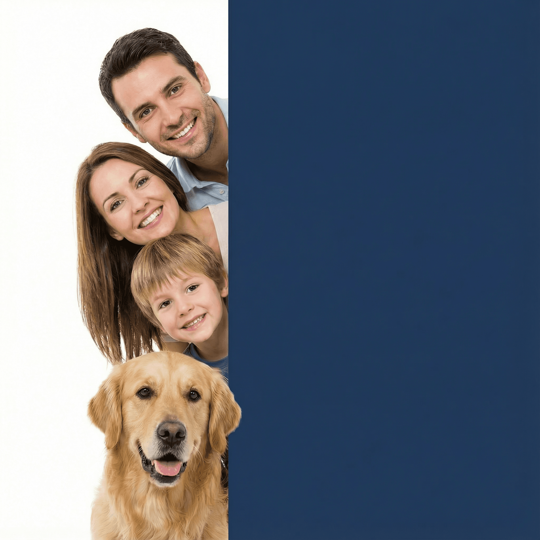 Professionelle Finanzberatung